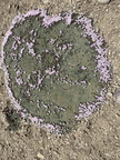 IMG 0608